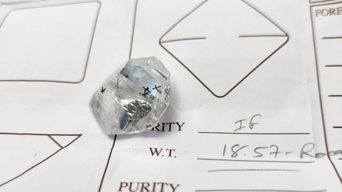 Attēls 20240718 Wa0016 Apcirptas