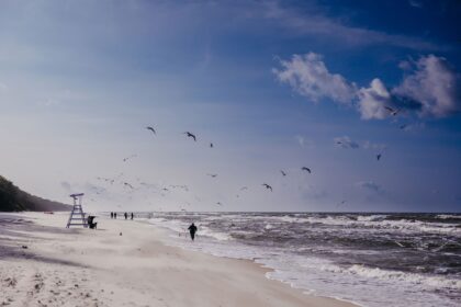 Ziemas pastaigas pie jūras Linea Mare