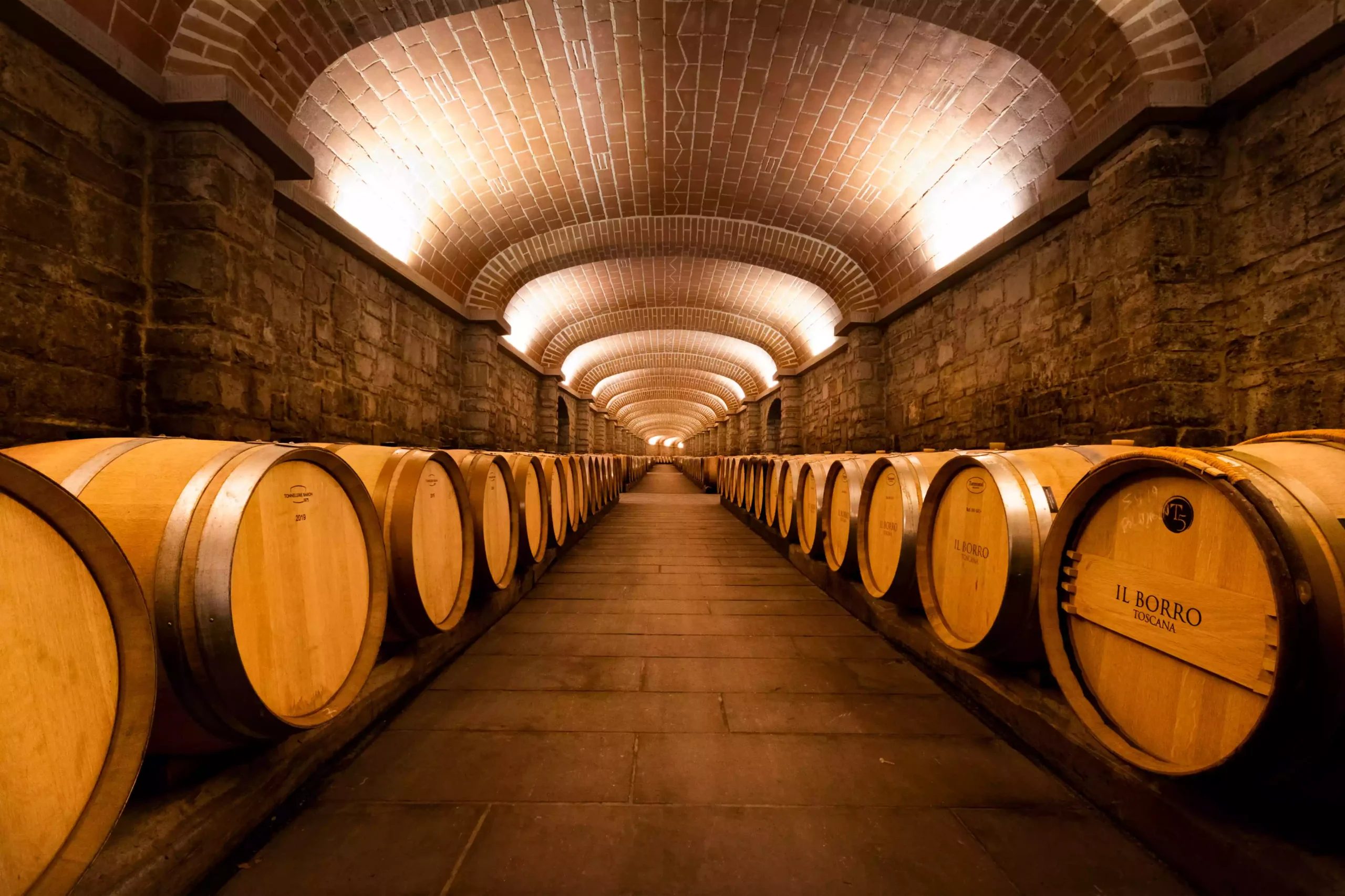 Vīna dārzi Toskānā Blogs