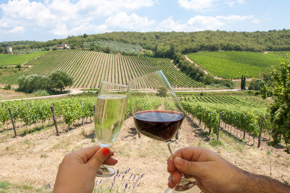 Vīna dārzi Toskānā